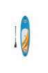 BIC SUP 10'